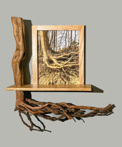 Map 17 - Tree Roots by Eva M. Capobianco