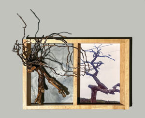 Map 22 - Gnarly Tree by Eva M. Capobianco