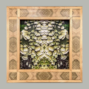 Map 25 – Book Matched, Light Version by Eva M. Capobianco                          