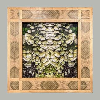 Map 25 – Book Matched, Light Version by Eva M. Capobianco                          