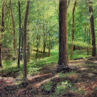 Spring Woods by Ed Brothers