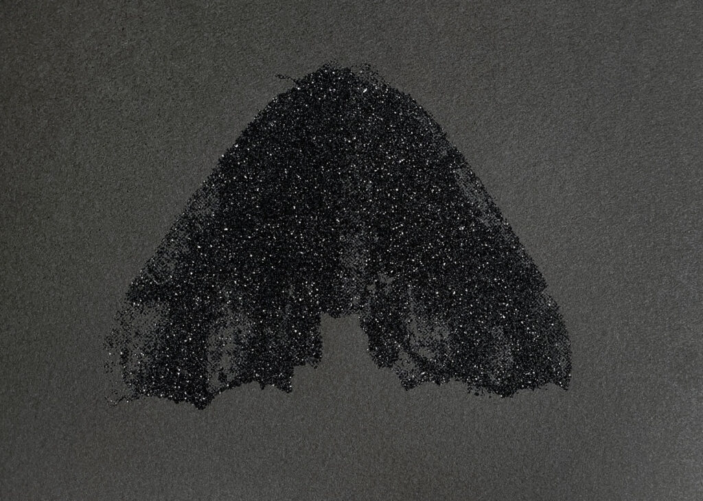 Black Glitter Moth (Pero Honestaria) by Christine Chin