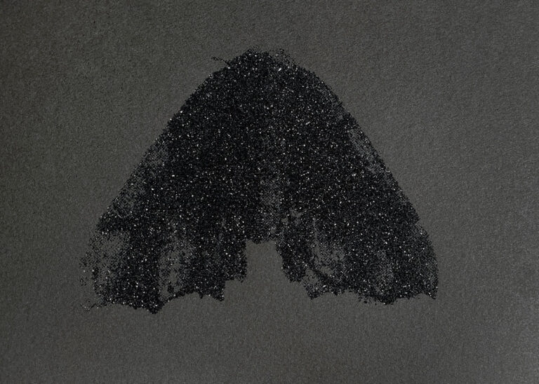 Black Glitter Moth (Pero Honestaria) by Christine Chin