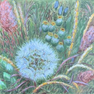 Salsify by Frances Fawcett