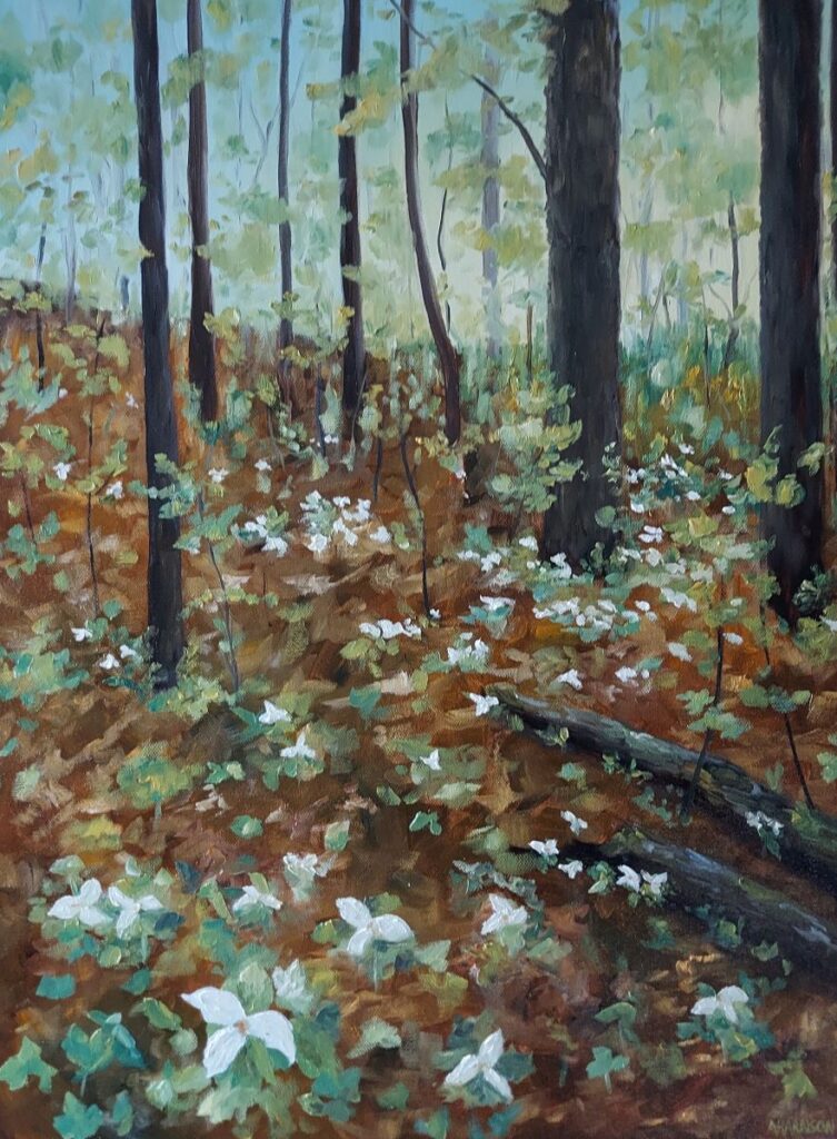 Trillium by Annemiek Haralson