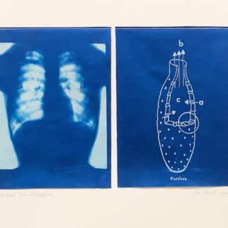 Photo Show June, 2026