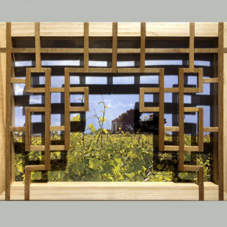 Margon Vineyard with Lattice